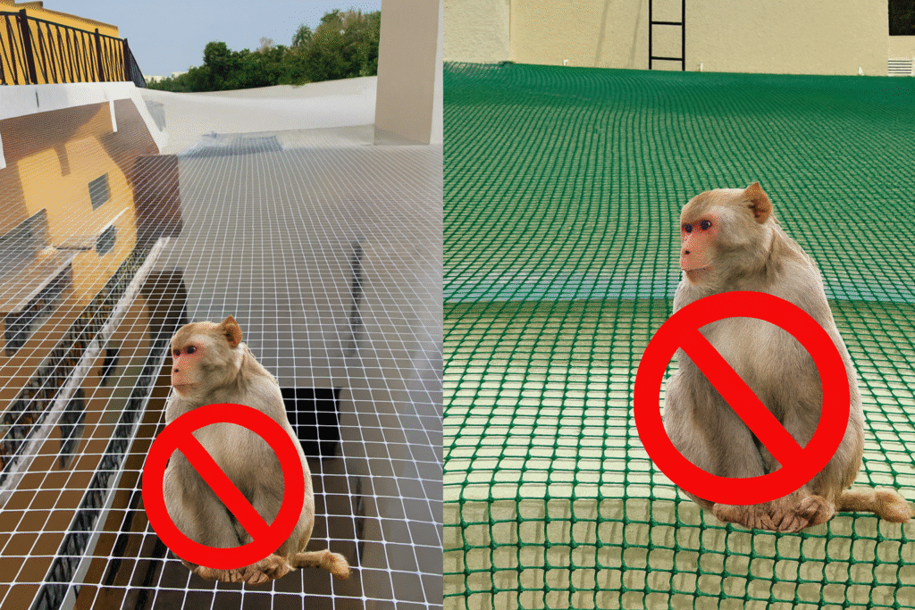 Monkey Safety Nets