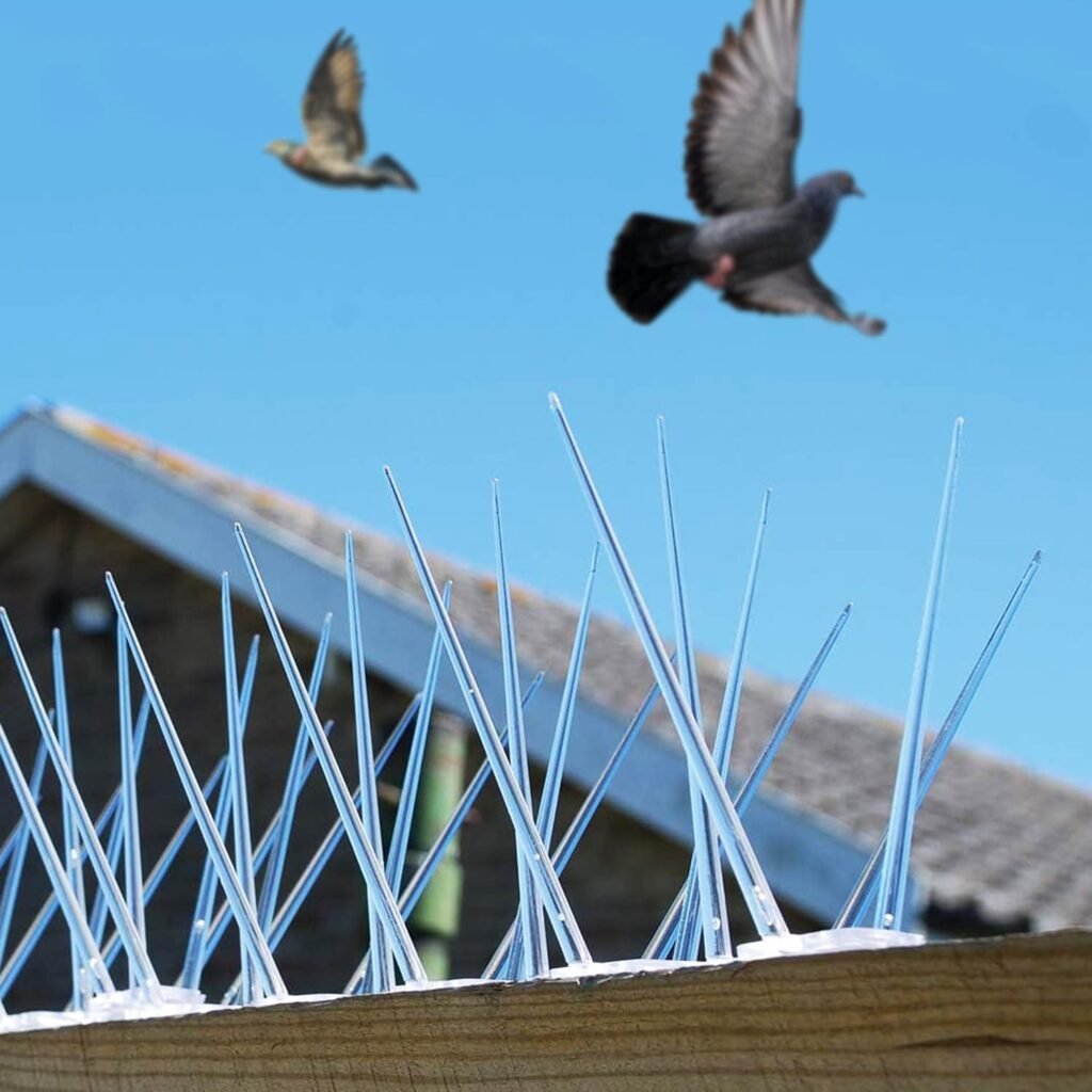 Anti Bird Spikes